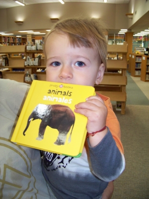 Luka Hefner, 1, completed the Babies Bloom: 100 Books before One program through the Reedsburg Public Library. (Submitted photos)