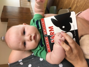 Rowen Broughton completed the 100 Books before One with the Reedsburg Public Library’s Babies Bloom challenge on Beanstack. Broughton is seen here showing off the board book he received for finishing the program. Babies Bloom encourages parents to read to their children to foster an early interest in literacy. For more information about this and other children’s programs, visit the Reedsburg Public Library or check out its website. (Submitted photo)